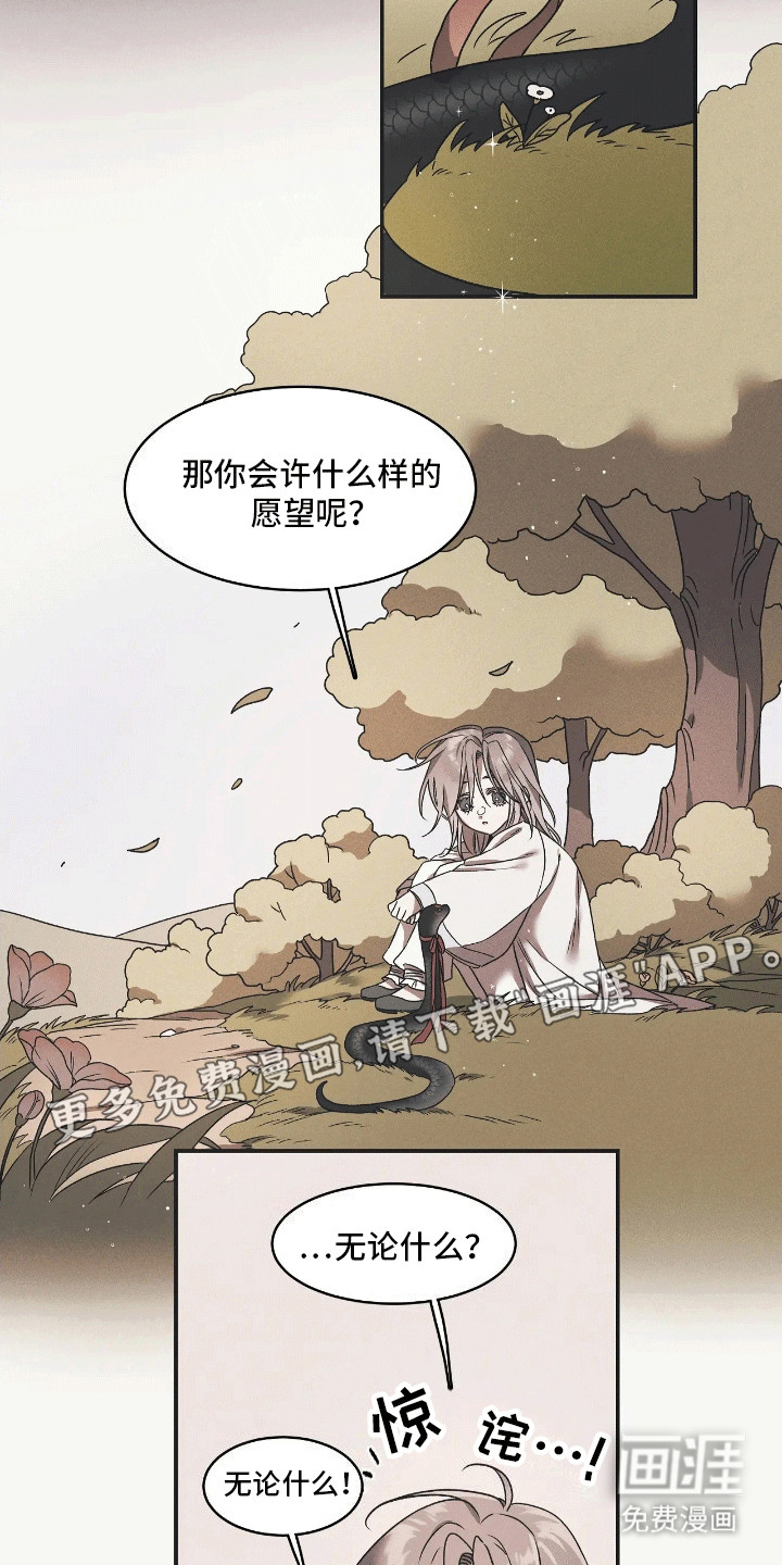 第3话：第3章：回应预览分镜