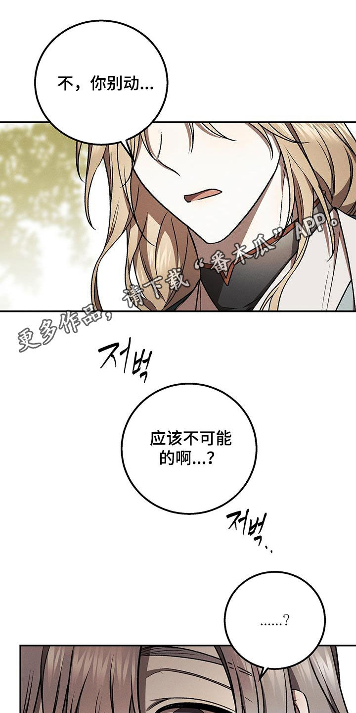 第46章:迷恋