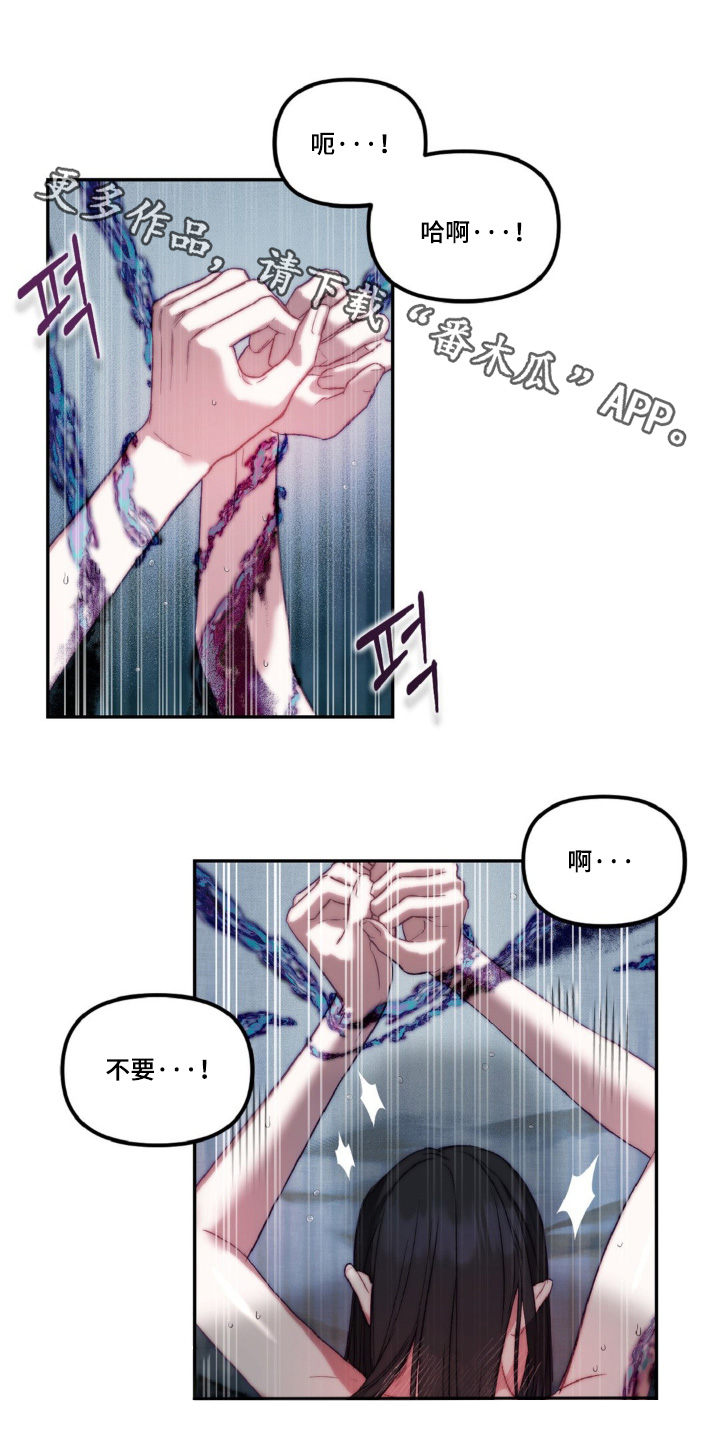 第21章:该怎么做