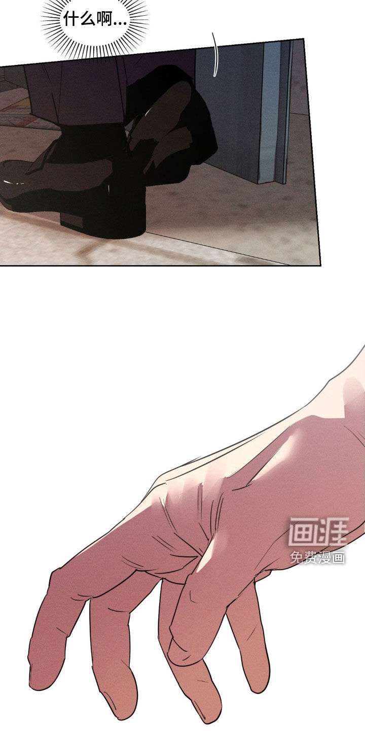 第74章:你这个疯子(完结)