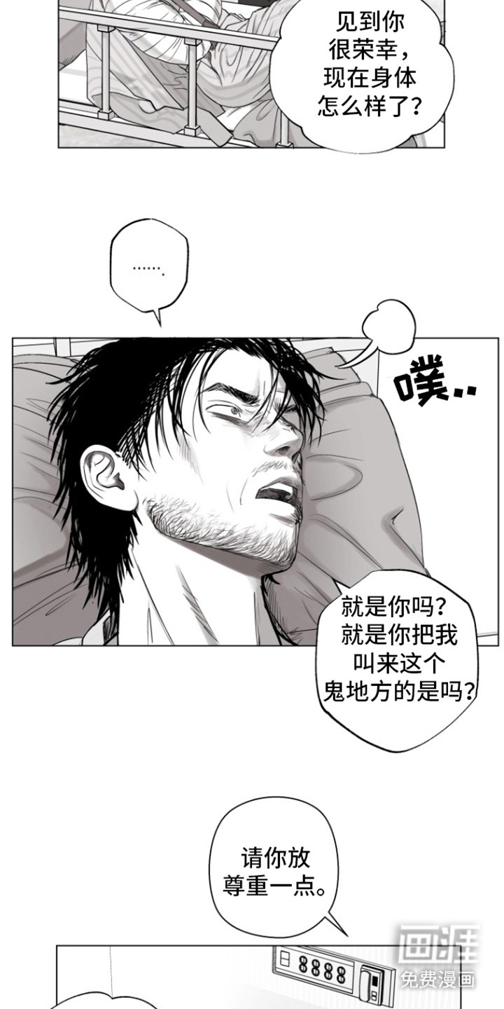 第12话：第12章：尊重点预览分镜