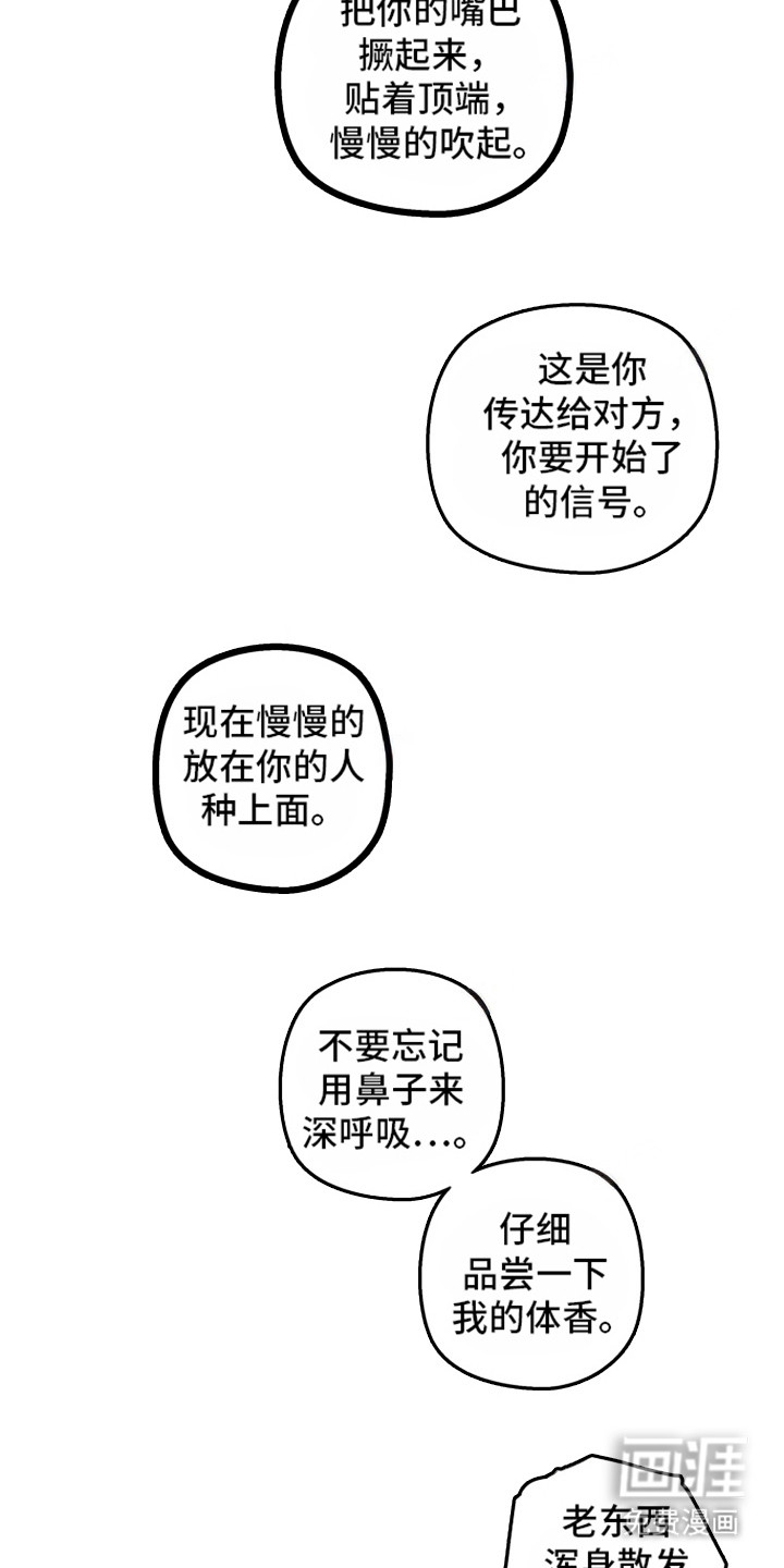 第14话：第14章：里基预览分镜