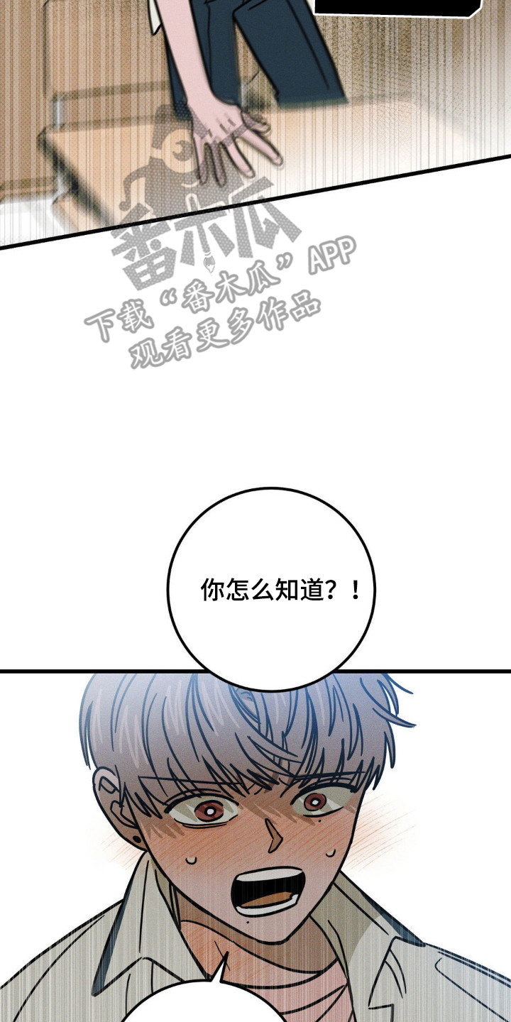 第72章:【第二季】首次表白