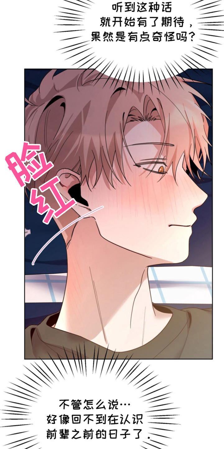 第15话：第15章：再见预览分镜