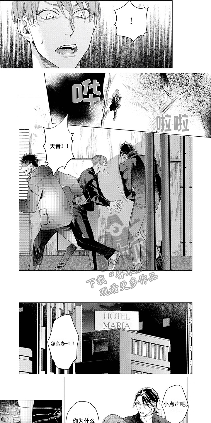 第11话：第11章：没个度预览分镜
