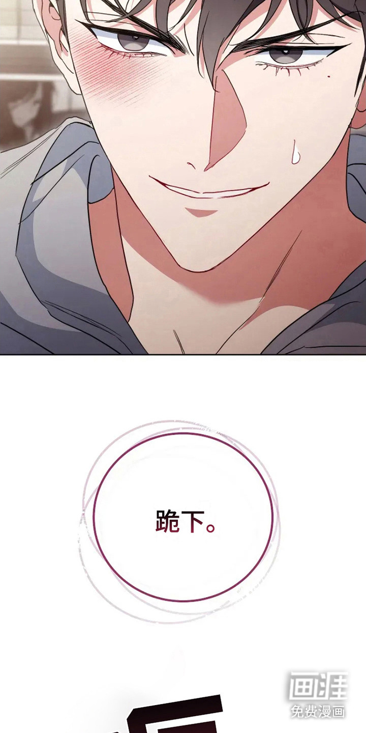 第5话：第5章：命令预览分镜