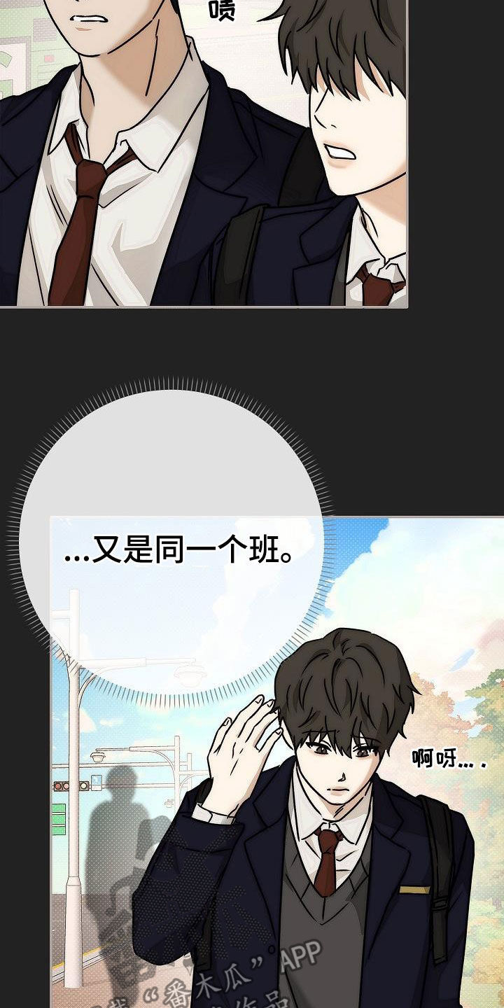 第15话：第15章：高中预览分镜