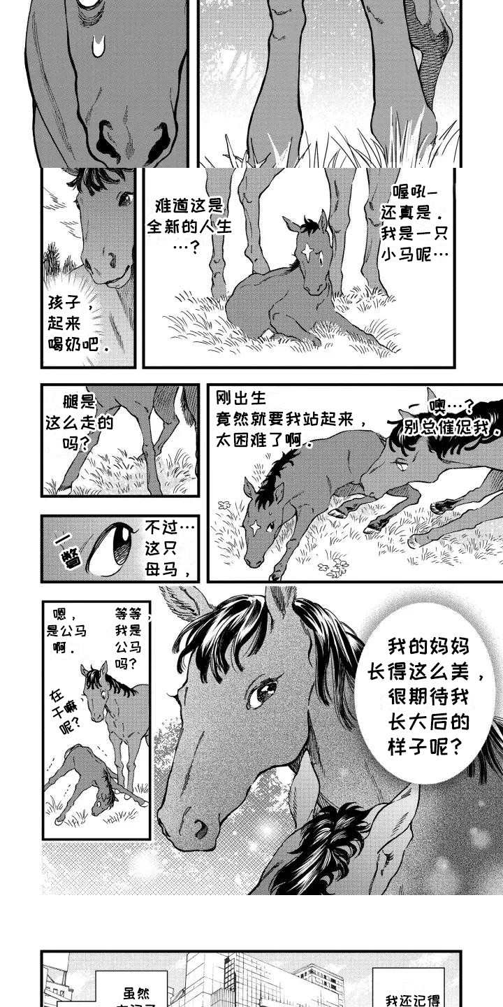 第1话：第1章：转世成为马预览分镜