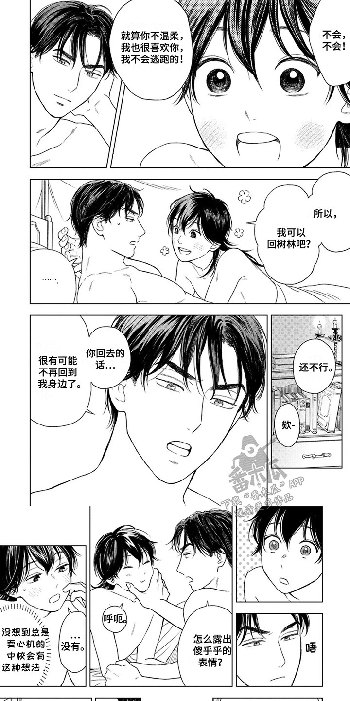 第17章:回家