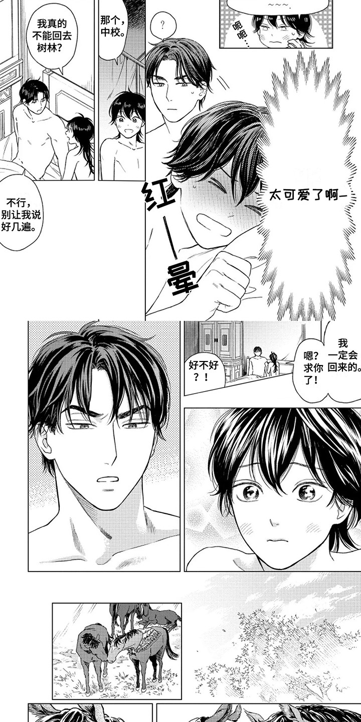第17章:回家