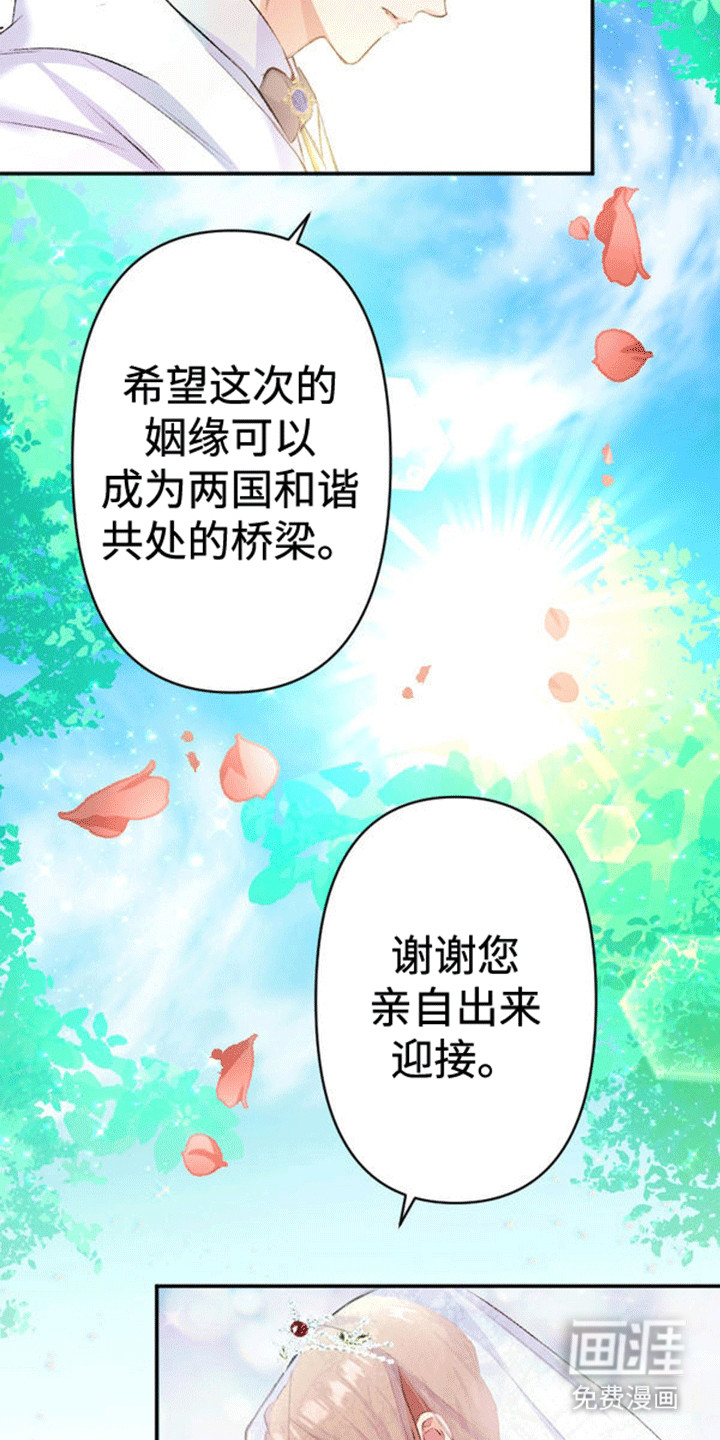 第11话：第11章：不被祝福的婚姻预览分镜