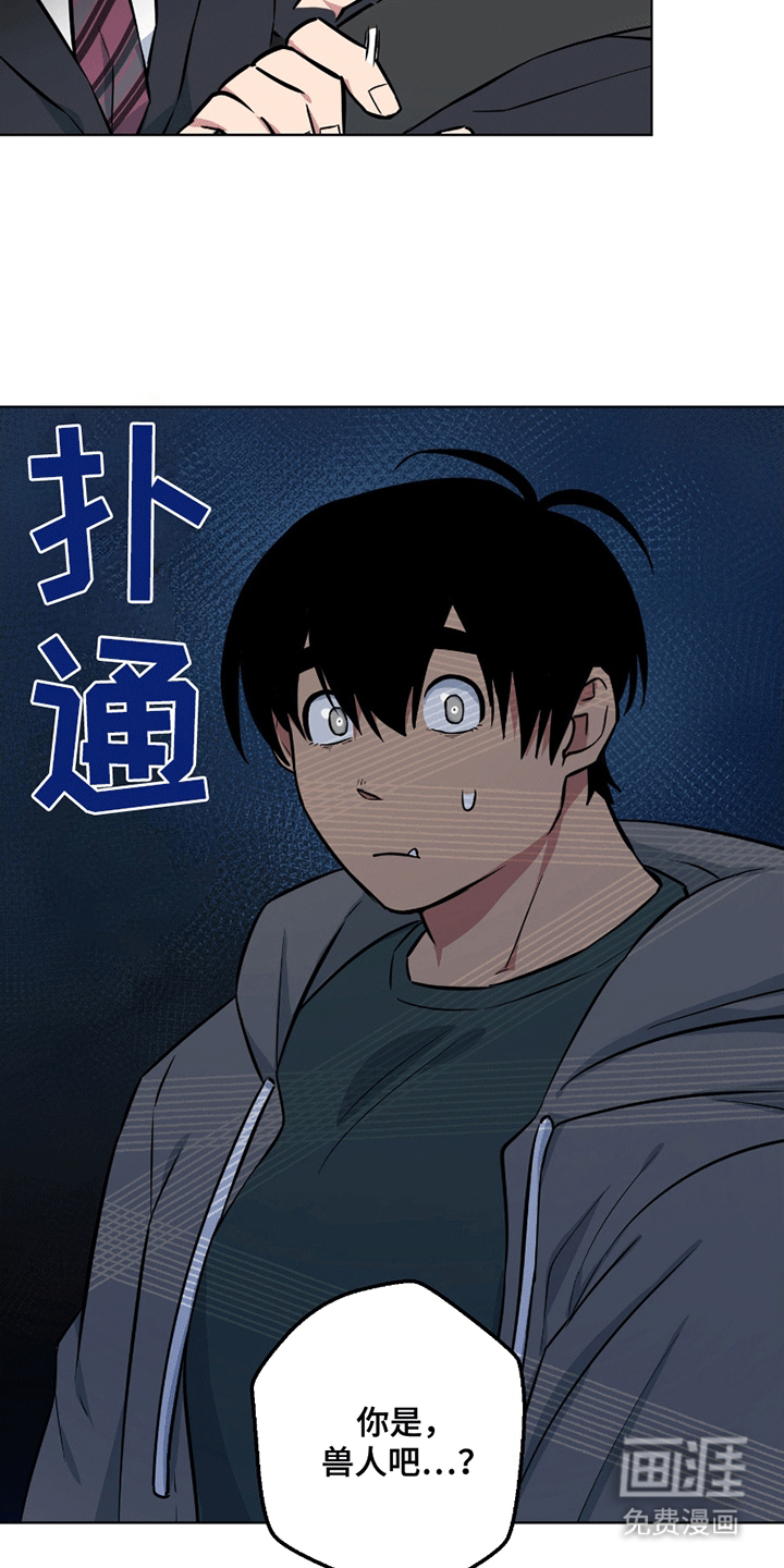 第11话：第11章：能看看吗预览分镜