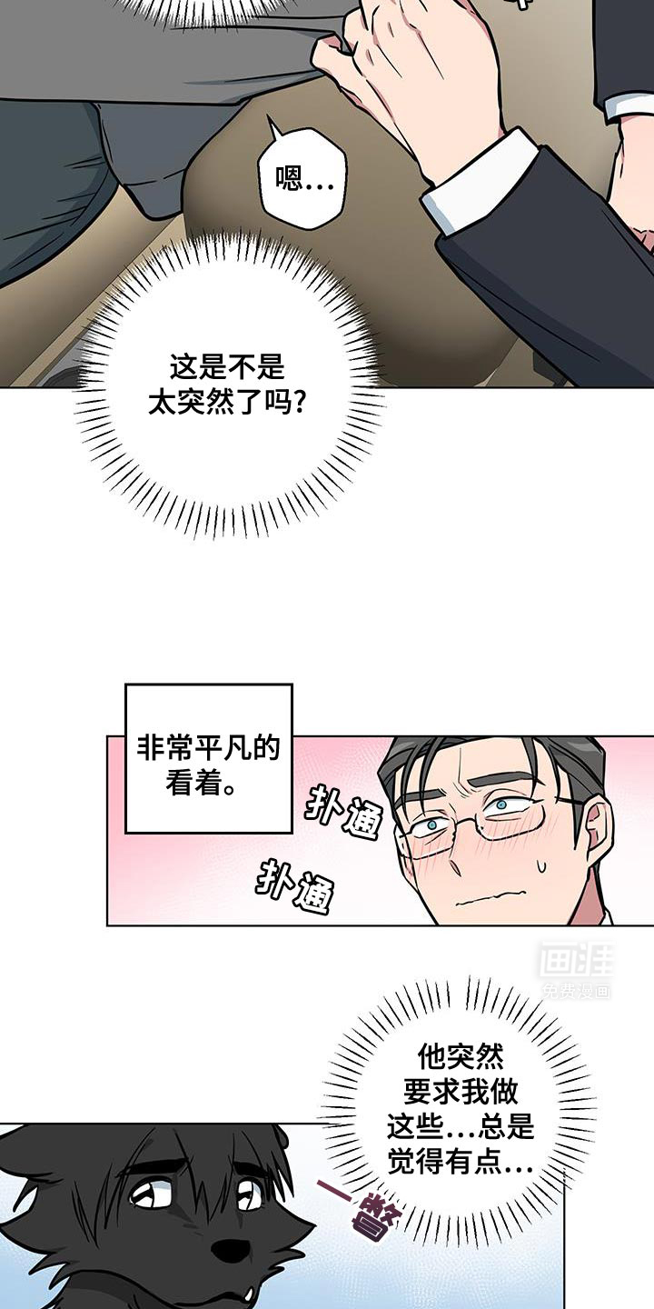 第12话：第12章：太喜欢了预览分镜