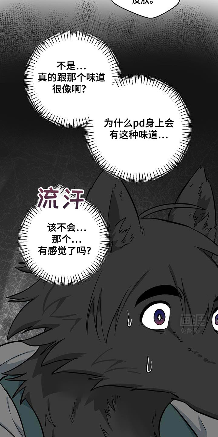 第13话：第13章：辩解预览分镜