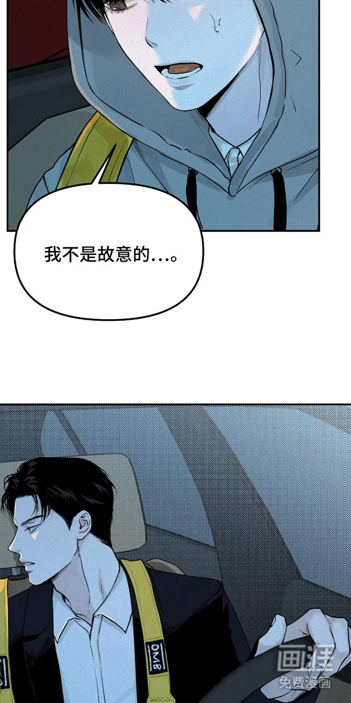 第11话：第11章：带回家预览分镜