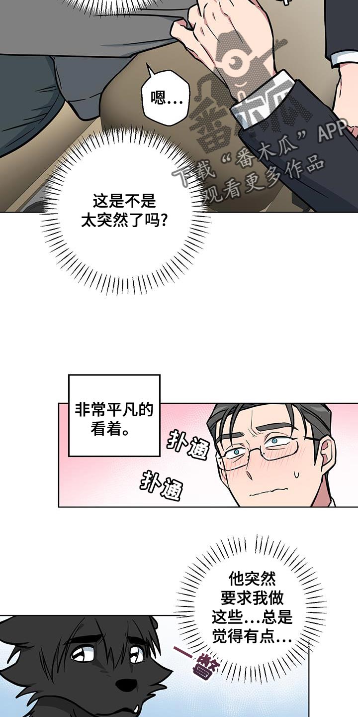 第12话：第12章：太喜欢了预览分镜