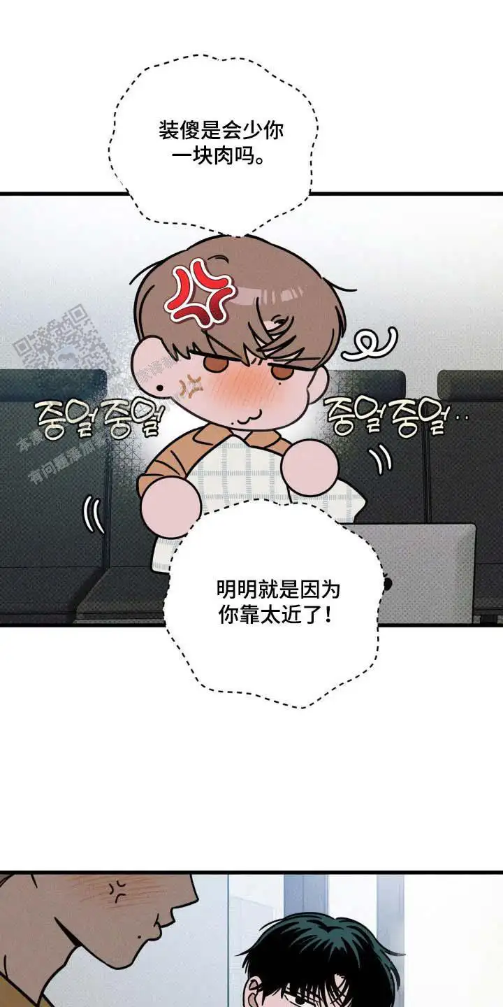 输了打赌