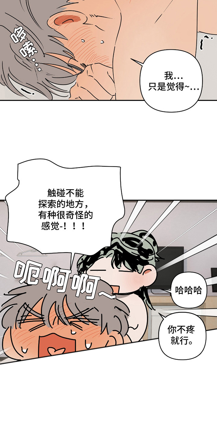 第17话：第17章：理智预览分镜