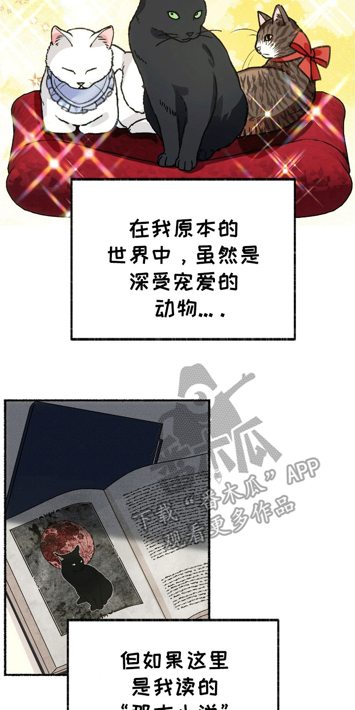 第2话：第2章：穿进书里预览分镜