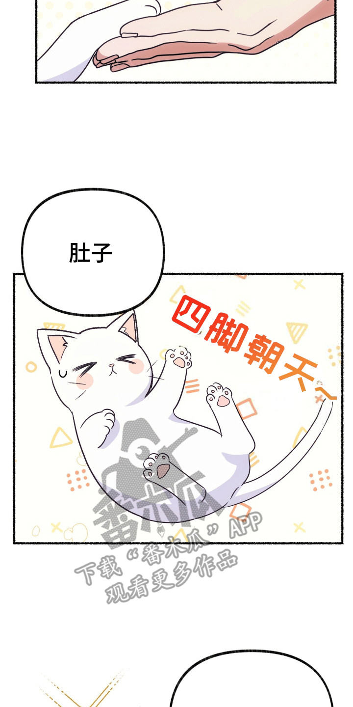 第4话：第4章：撒娇卖萌预览分镜
