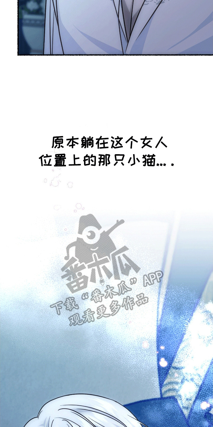 第9话：第9章：变回小猫预览分镜