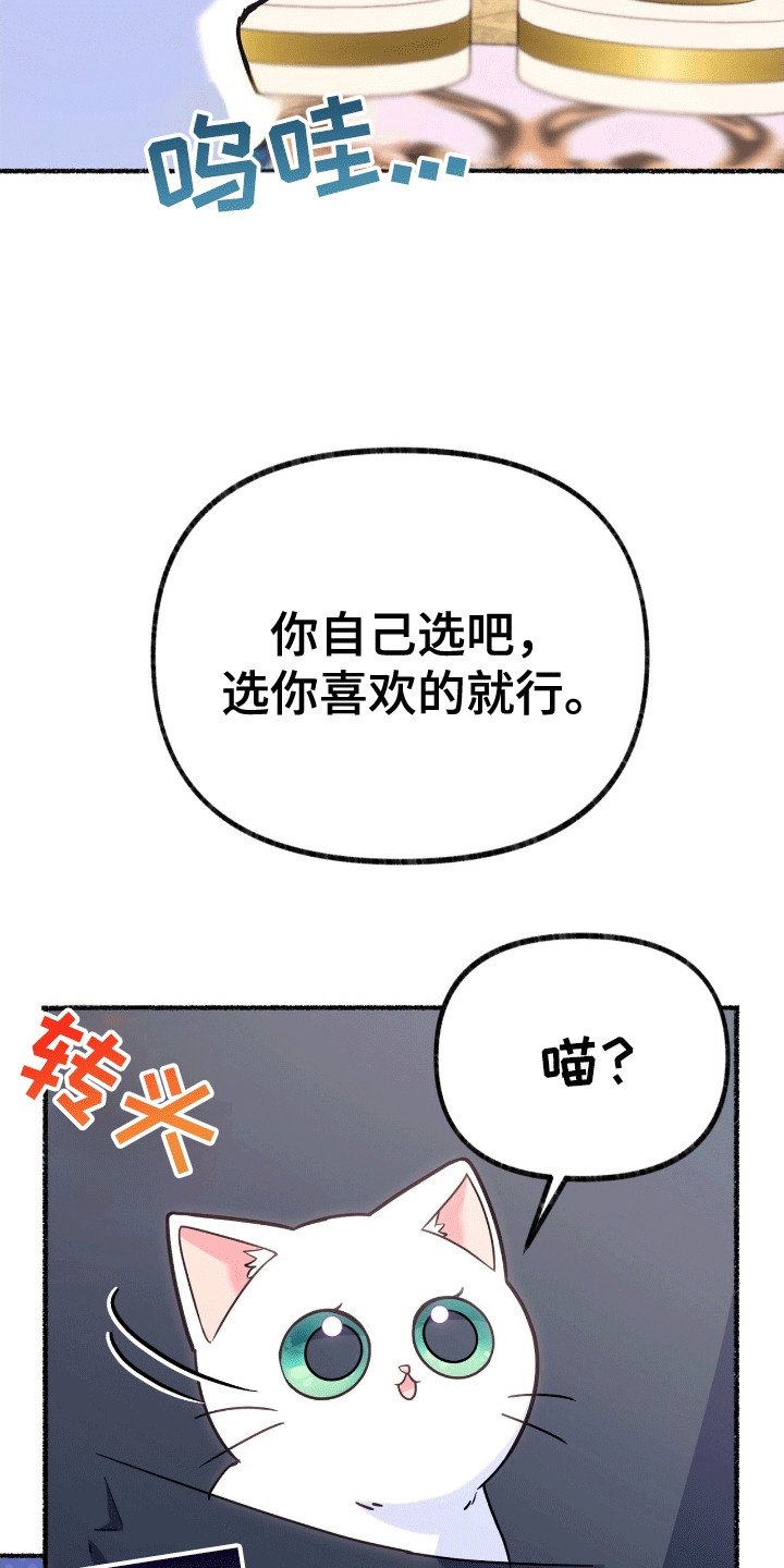 第13话：第13章：礼物预览分镜