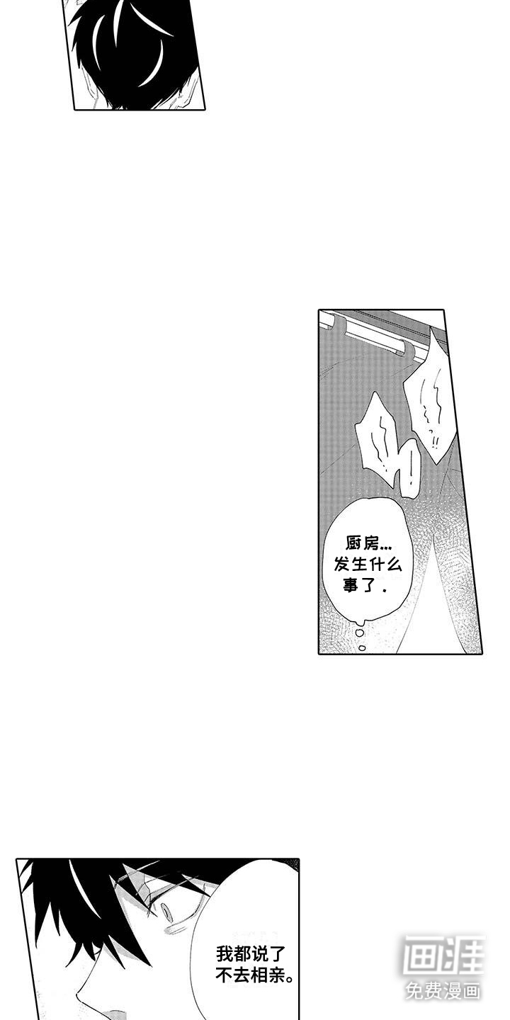 第15话：第15章：相亲预览分镜