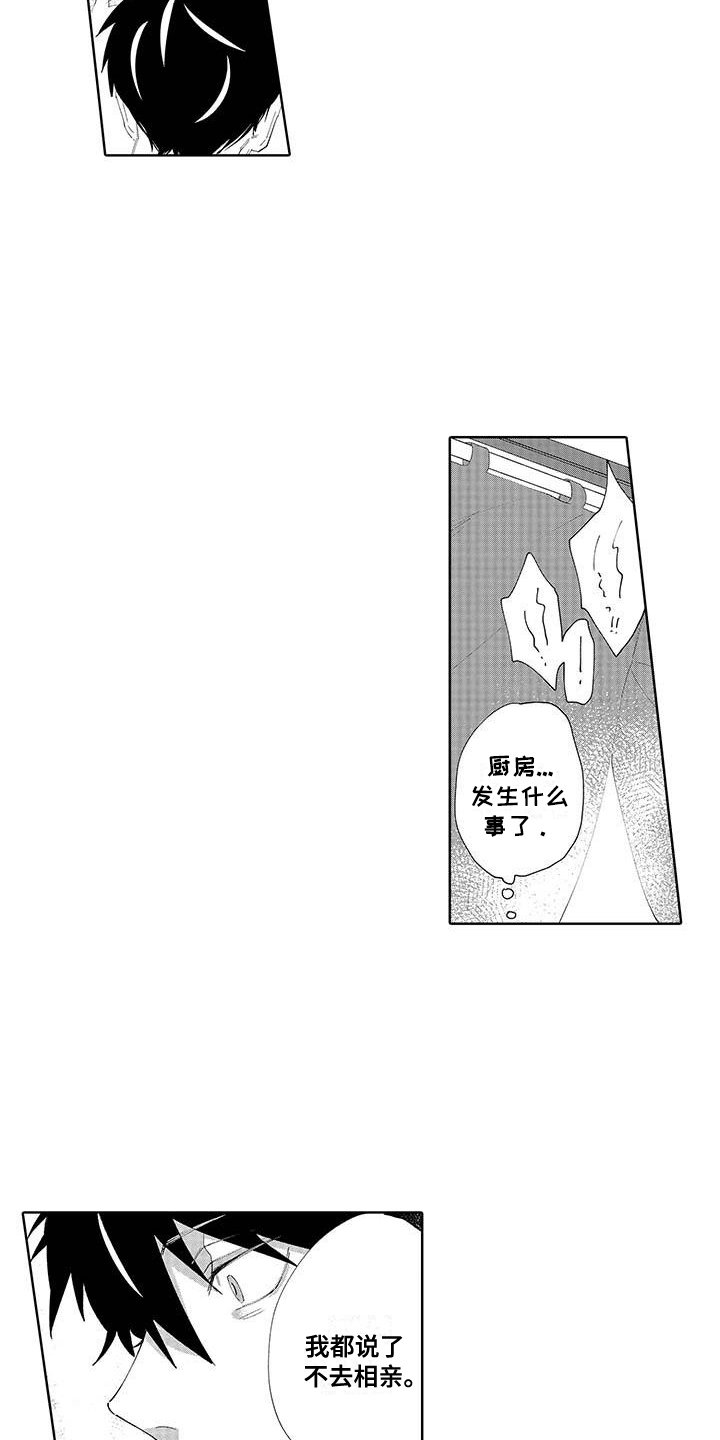 第15话：第15章：相亲预览分镜