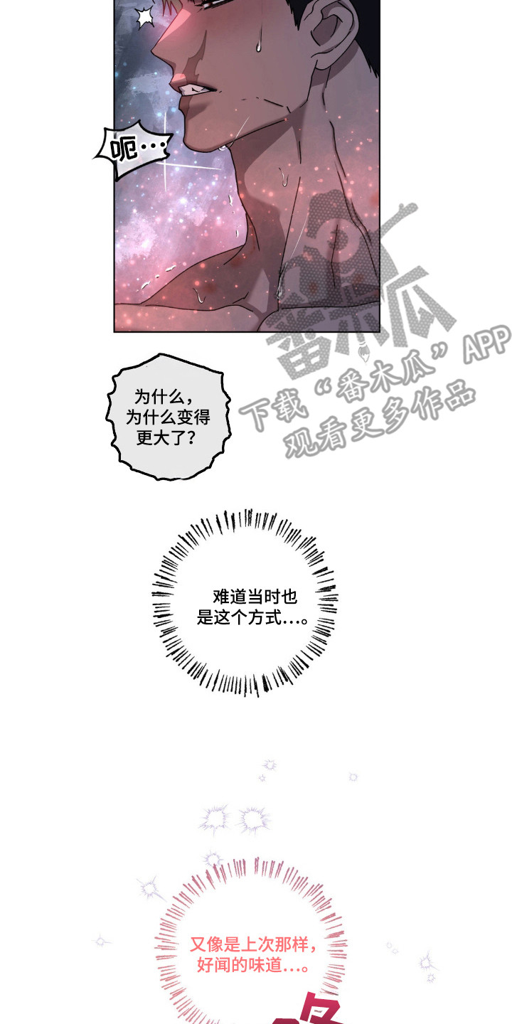 第65章:绝不反悔