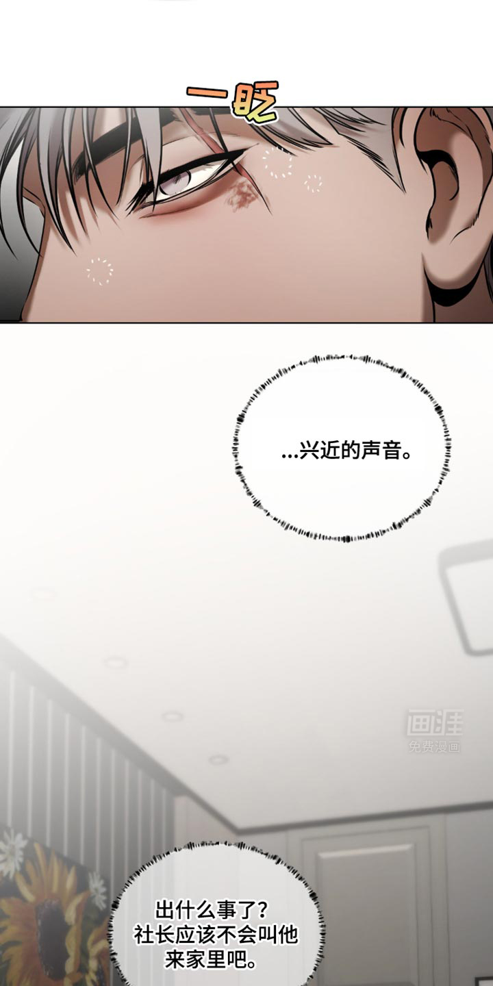 第15章：所以我才喜欢哥【完结】