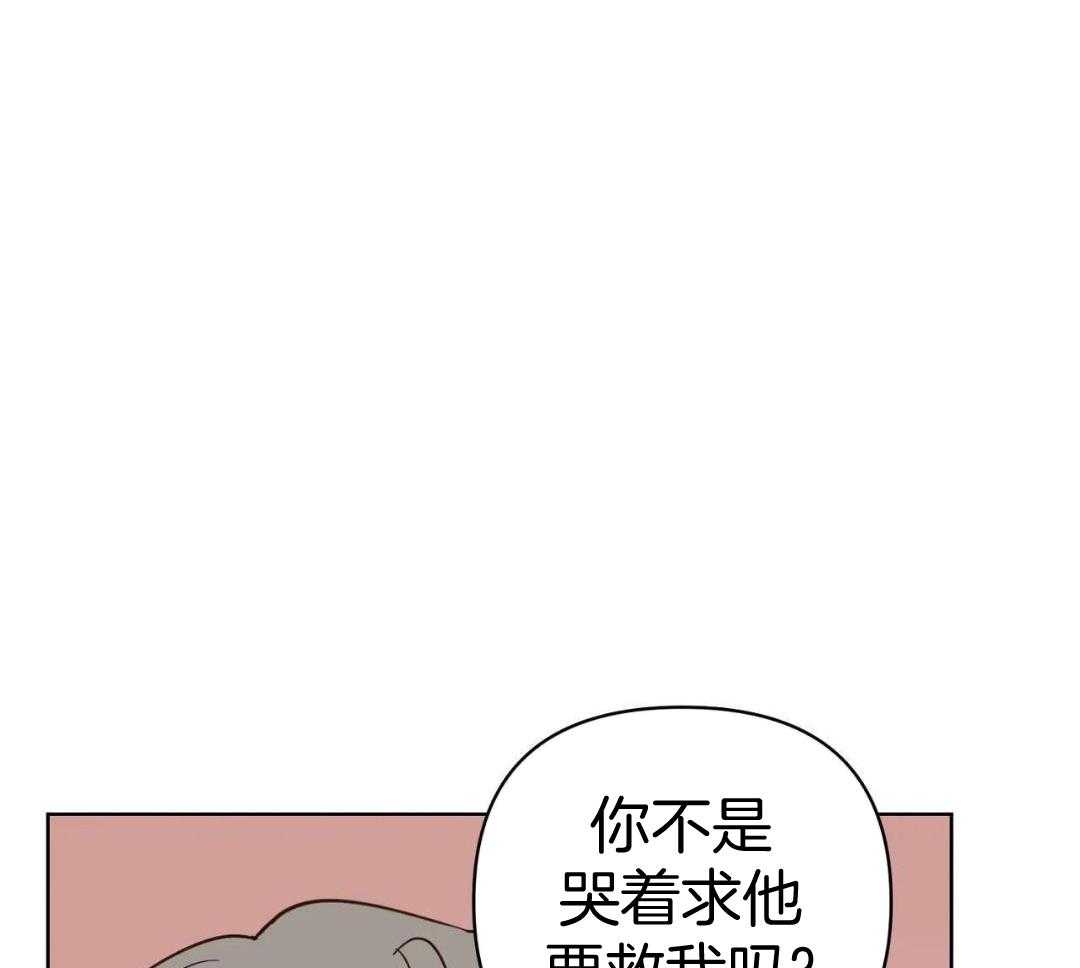 第105话 回来了