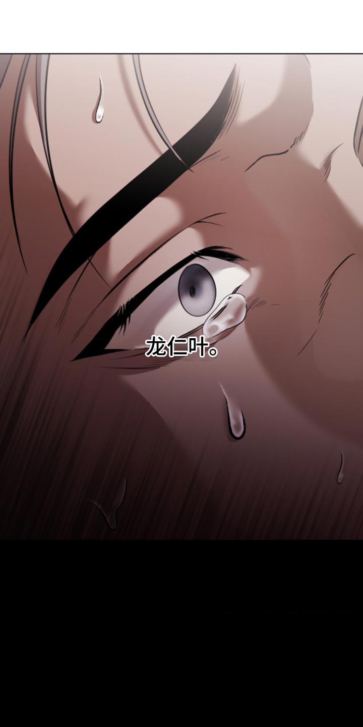 第14话：第14章：熟悉的痛苦预览分镜