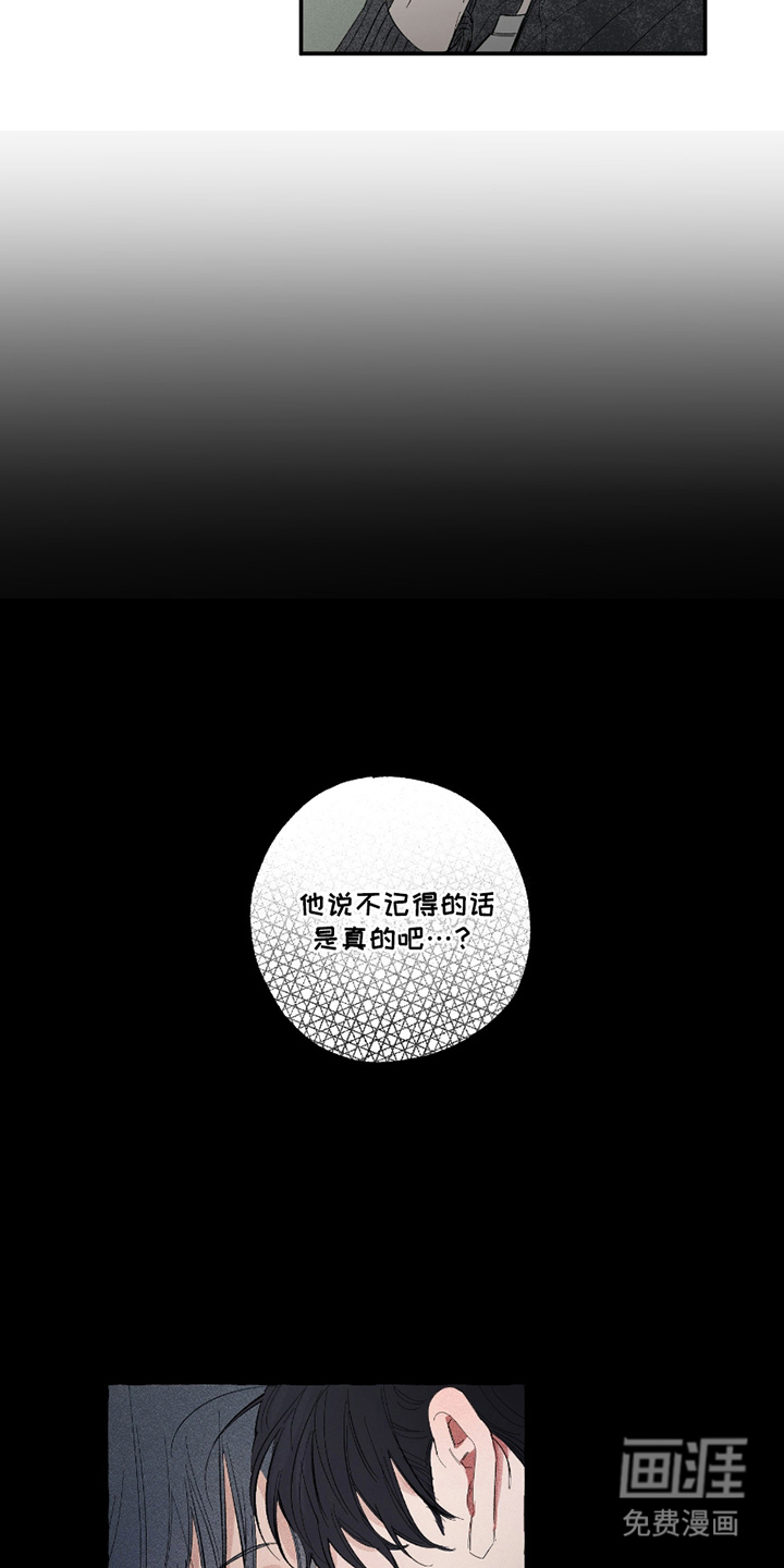 第11话：第11章：不记得预览分镜