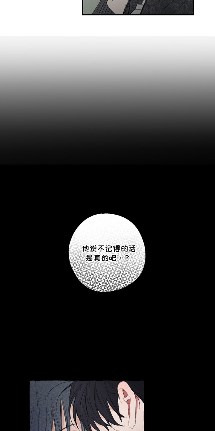第11话：第11章：不记得预览分镜