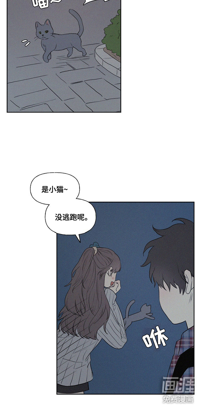 第8话：第8章：小猫预览分镜
