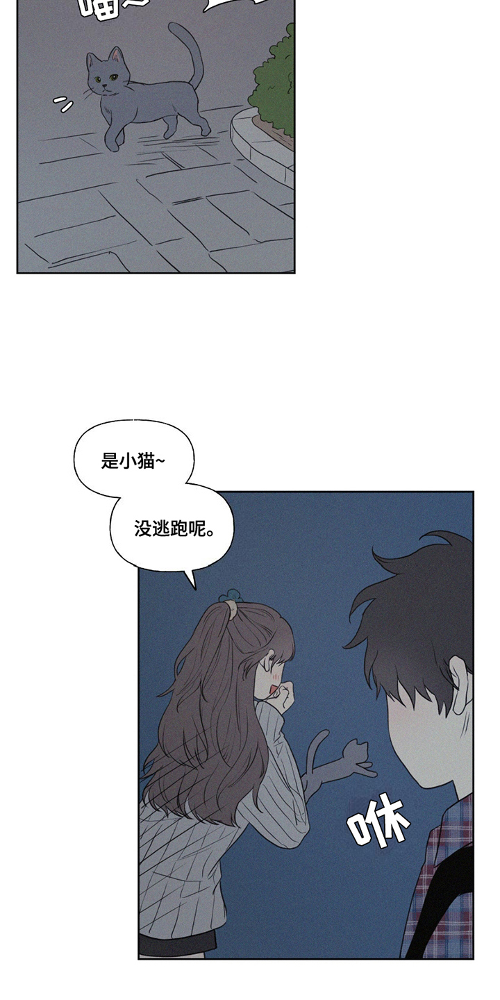 第8话：第8章：小猫预览分镜