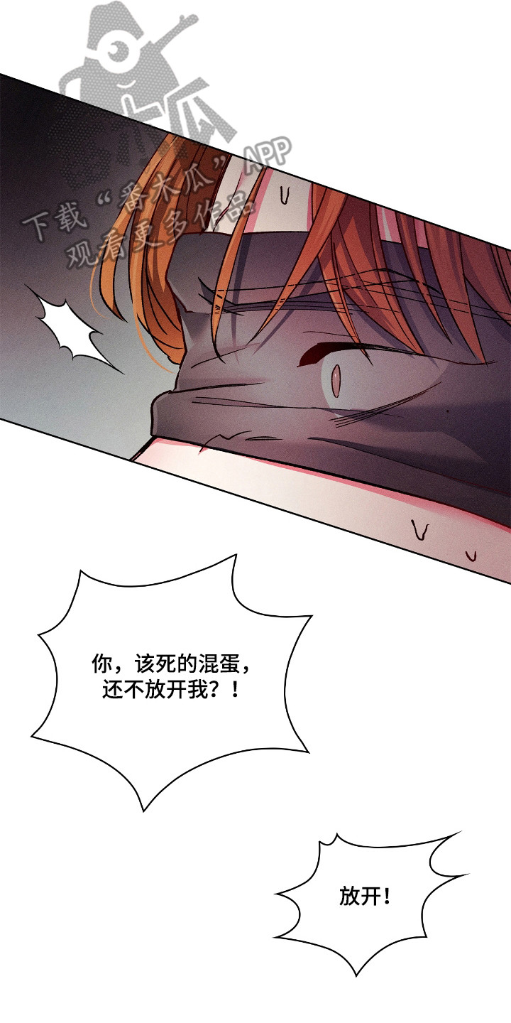 第75章:【番外】有趣事情