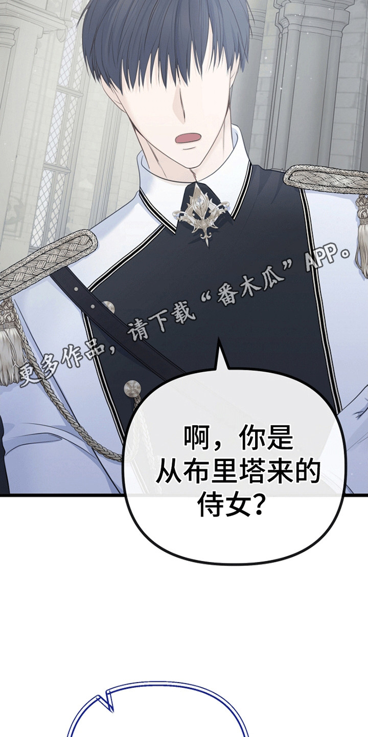 第17话：第17章：成为她的侍女预览分镜