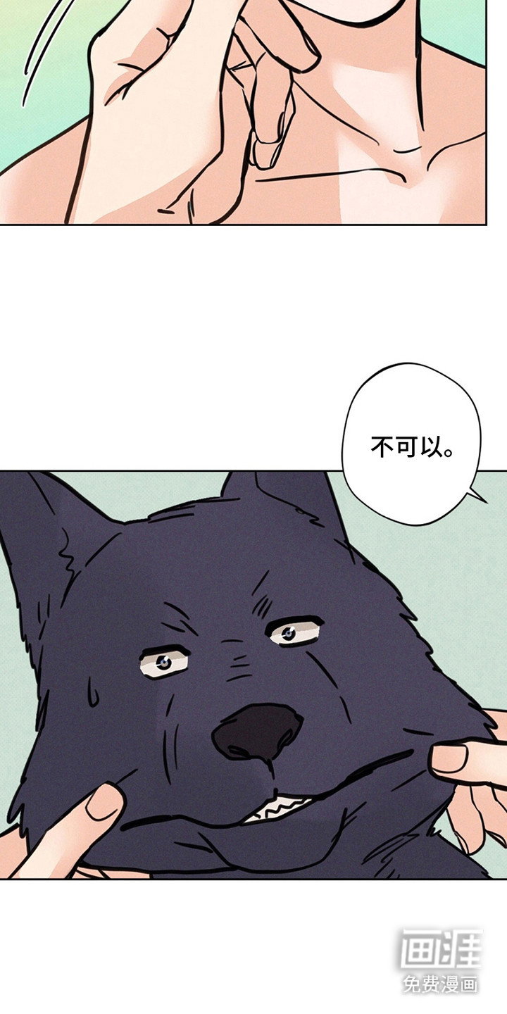 第10话：第10章：JS动物医院预览分镜