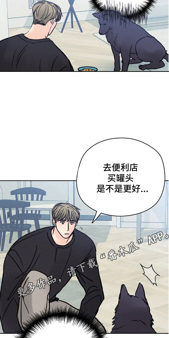 第9话：第9章：我是狼人！！预览分镜