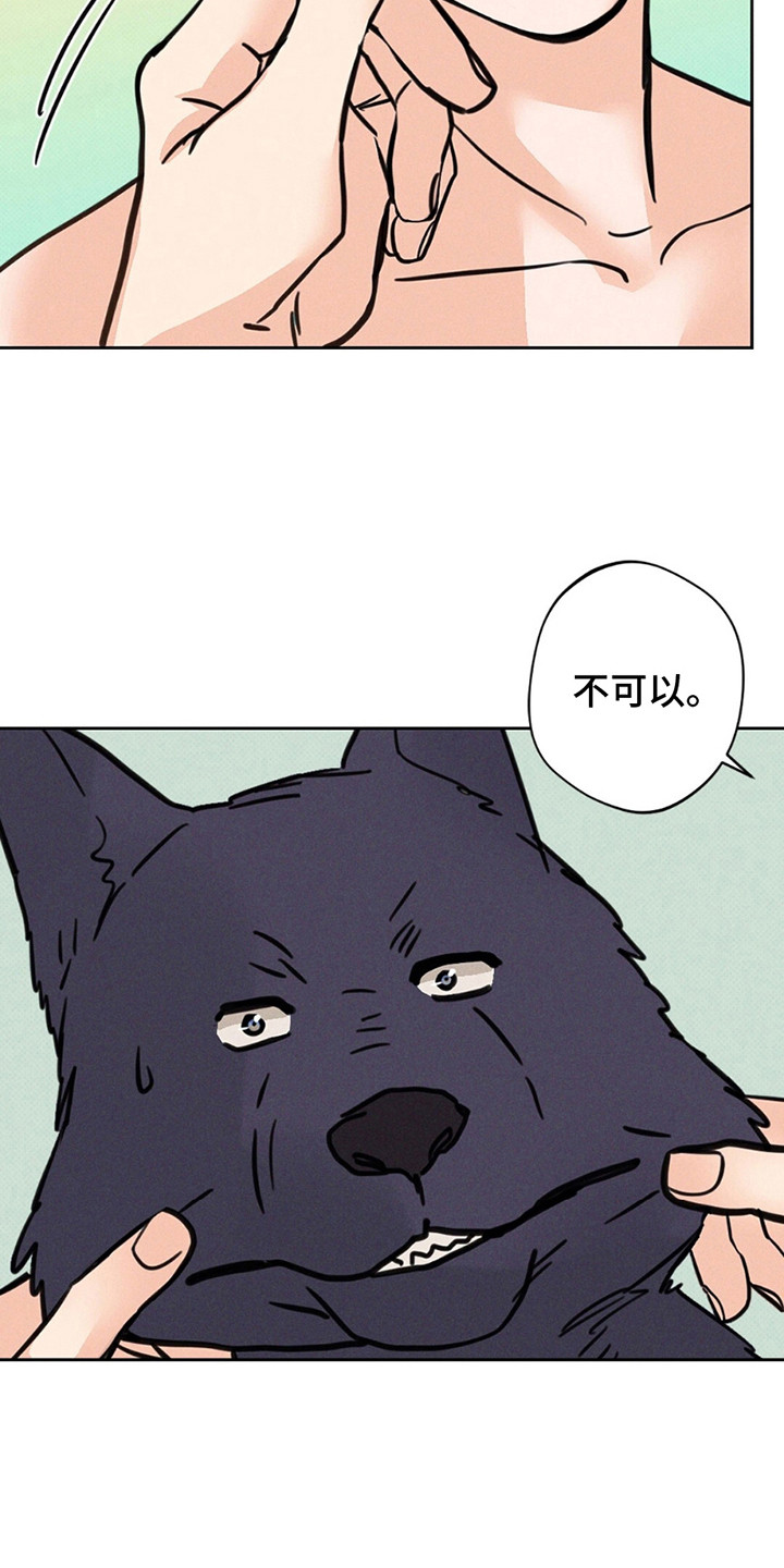 第10话：第10章：JS动物医院预览分镜