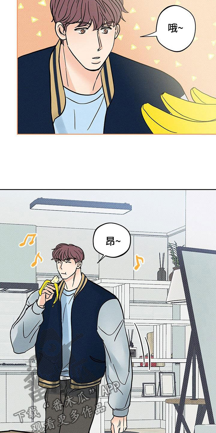 第17话：第17章：到底是什么关系预览分镜