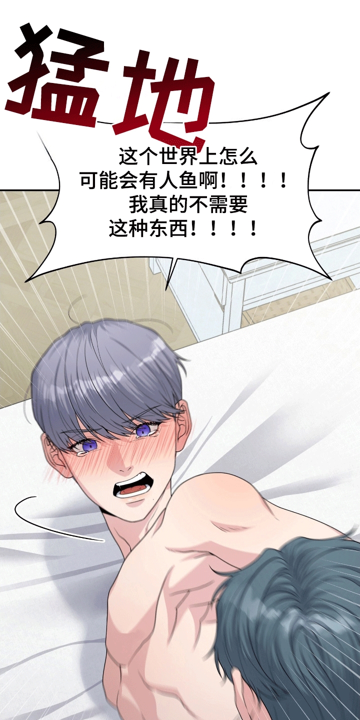 第6话：第6章：鲨鱼预览分镜