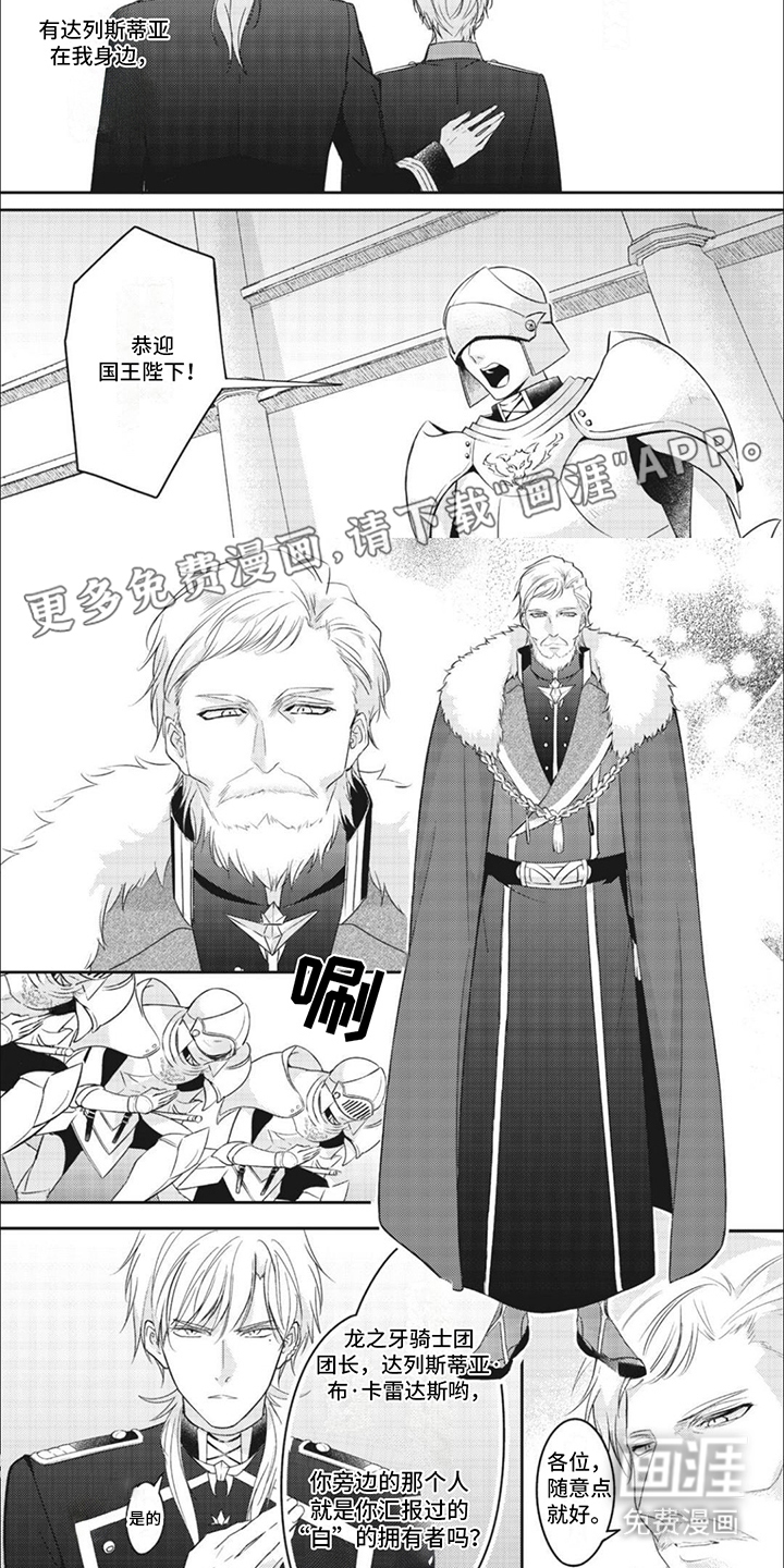 第13话：第13章：国王预览分镜