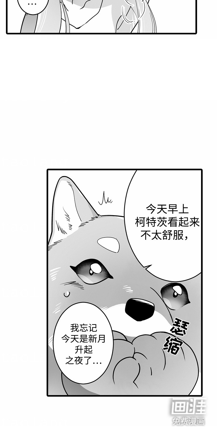 第9话：第9章：送药预览分镜