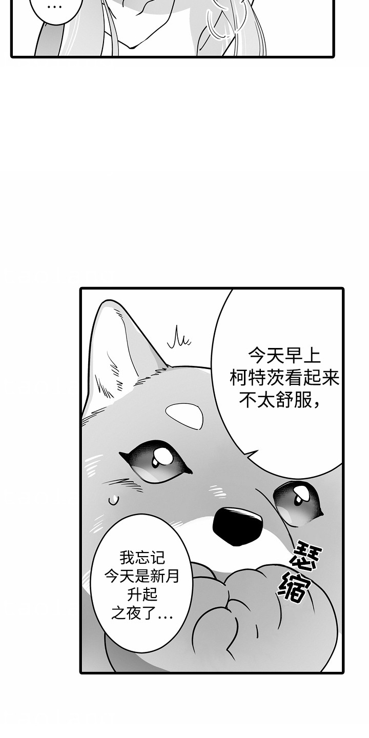 第9话：第9章：送药预览分镜