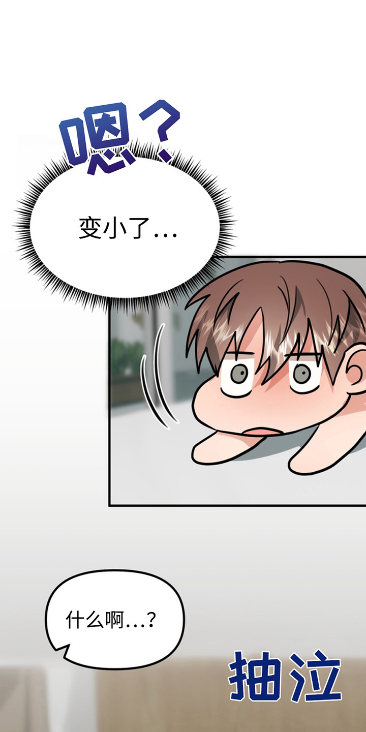第64章:小狗的丈夫:请多关照(完)