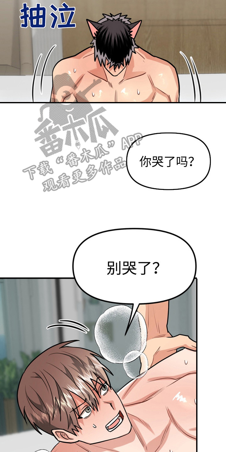 第64章:小狗的丈夫:请多关照(完)