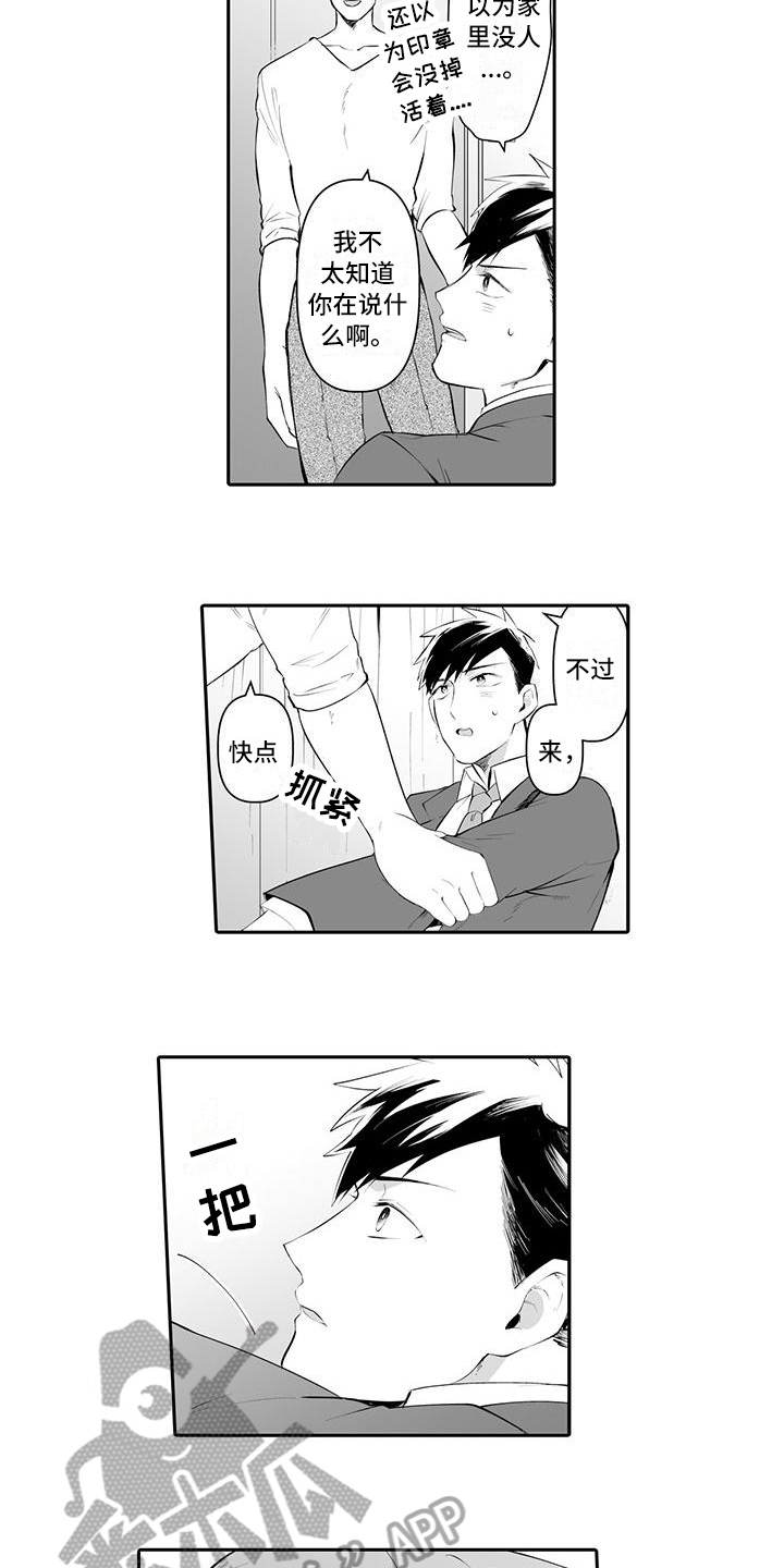 第5话：第5章：说明预览分镜