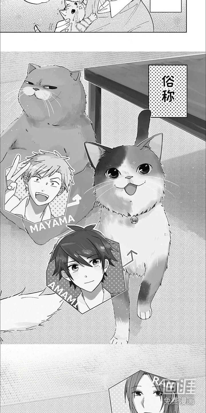 第1话：第1章：我们的猫猫部预览分镜